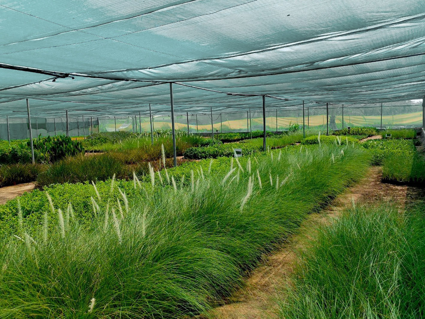 nursery4